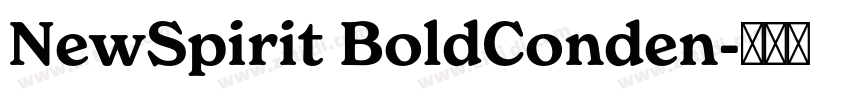 NewSpirit BoldConden字体转换